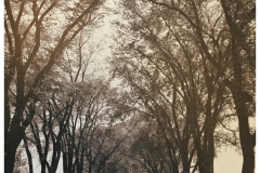 Drive-through-the-Farm-1940s-scaled-1