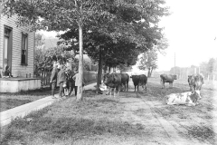 Harvey-and-Main-Ottawa-1900